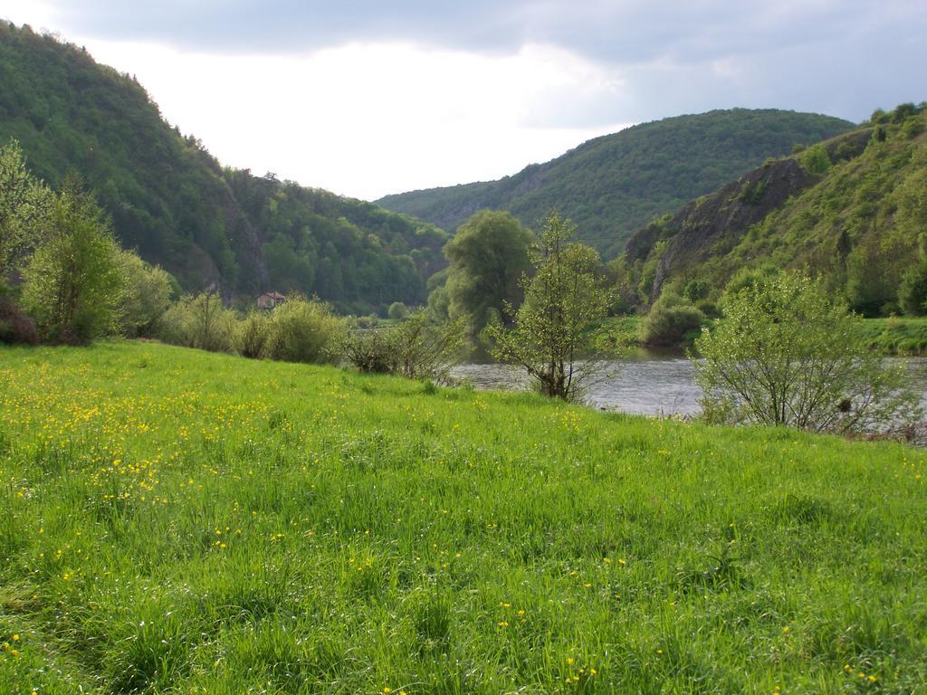 Restaurace a penzion U Lva Karlštejn Esterno foto
